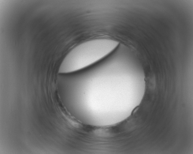 X0000083060422200702021041