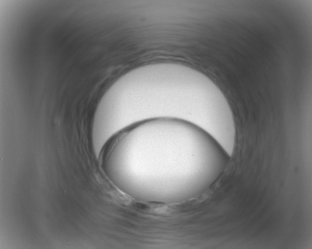 X0000083060423200702021041