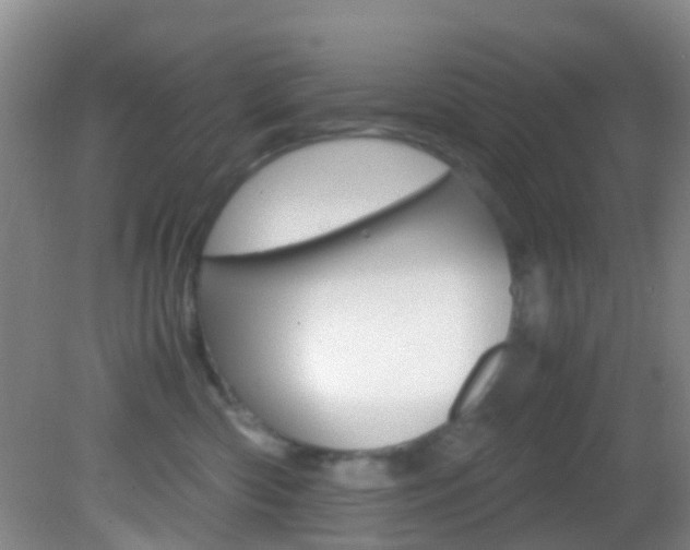 X0000083060426200702021041