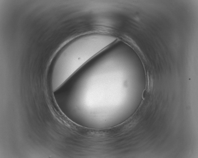 X0000083060435200702021040
