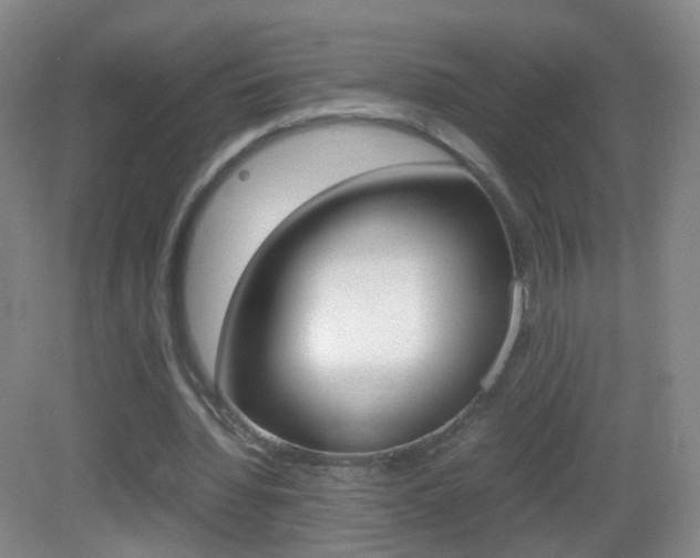 X0000083060436200702021040