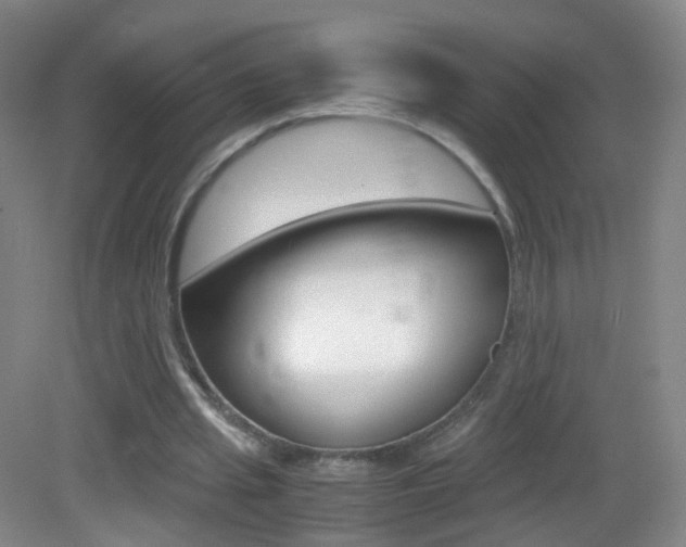 X0000083060437200702021040
