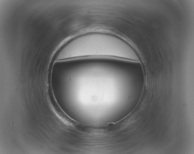 X0000083060438200702021040