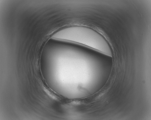 X0000083060441200702021040