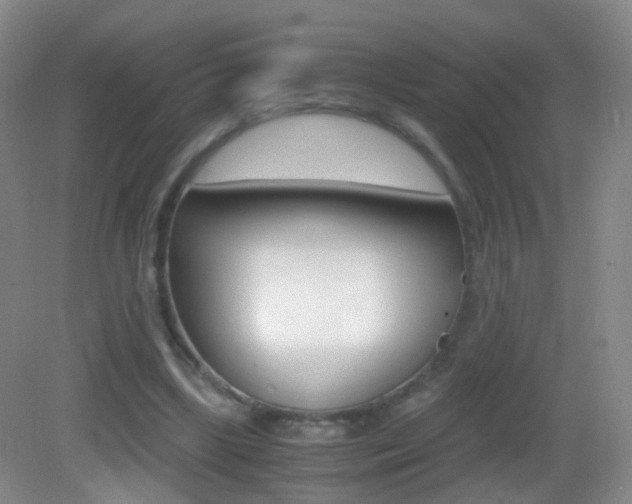 X0000083060443200702021040
