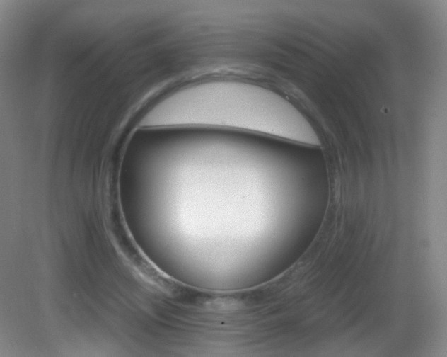 X0000083060444200702021040