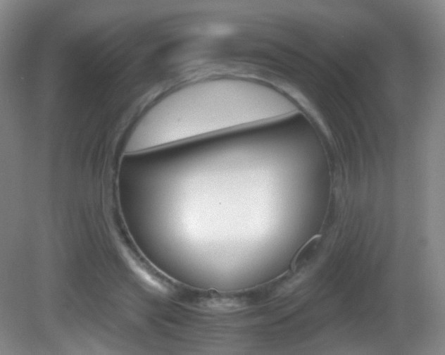 X0000083060445200702021040