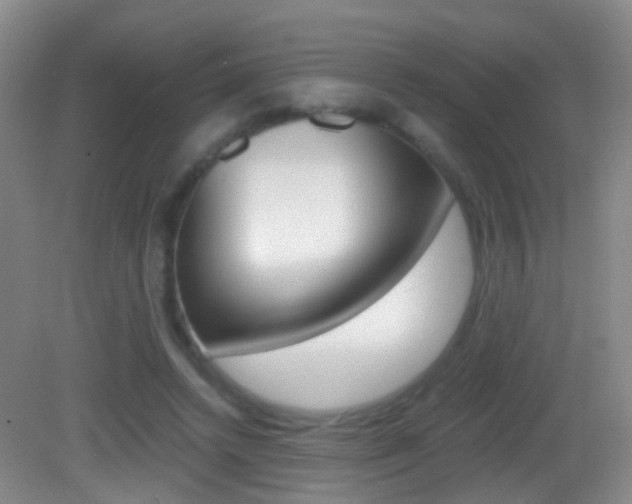 X0000083060448200702021040