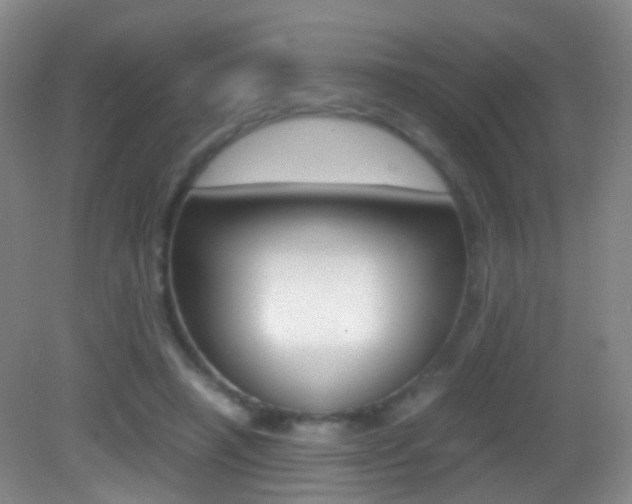 X0000083060450200702021040