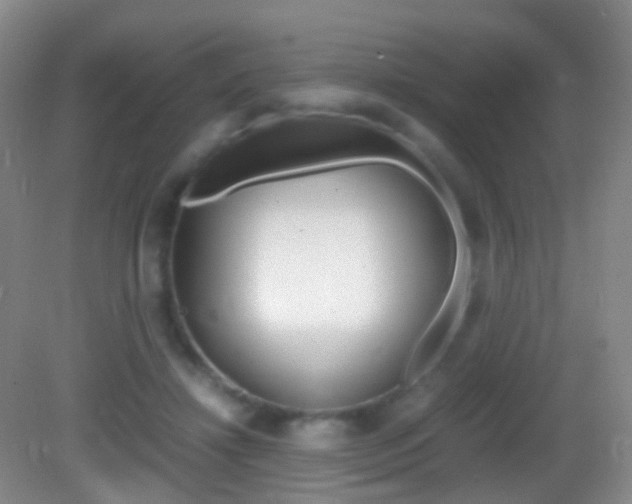X0000083060452200702021040