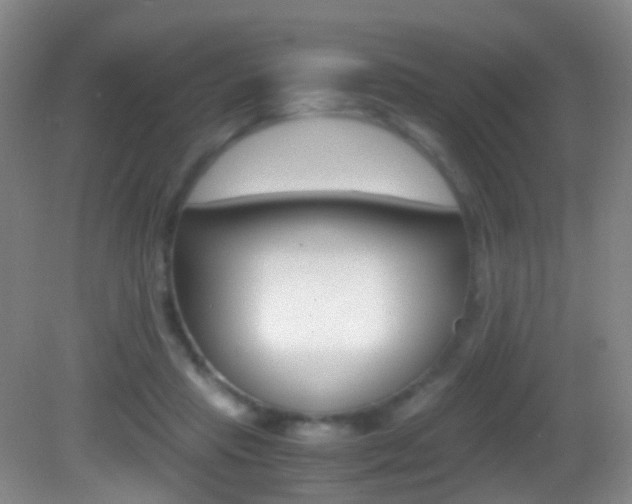 X0000083060453200702021040