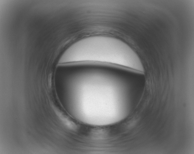 X0000083060454200702021040