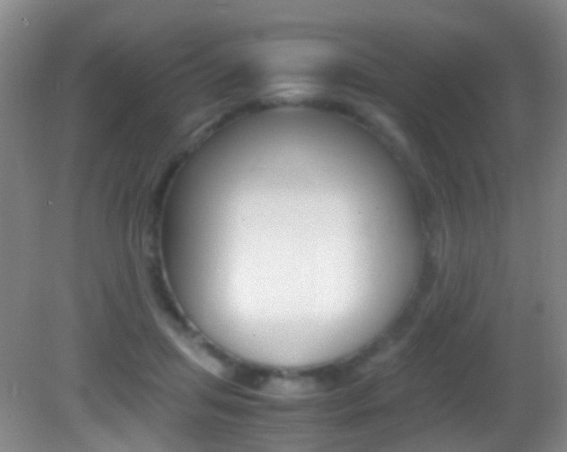 X0000083060455200702021040