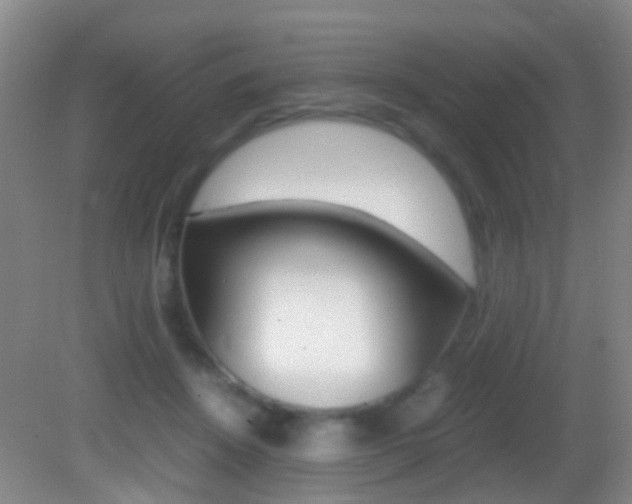 X0000083060456200702021040