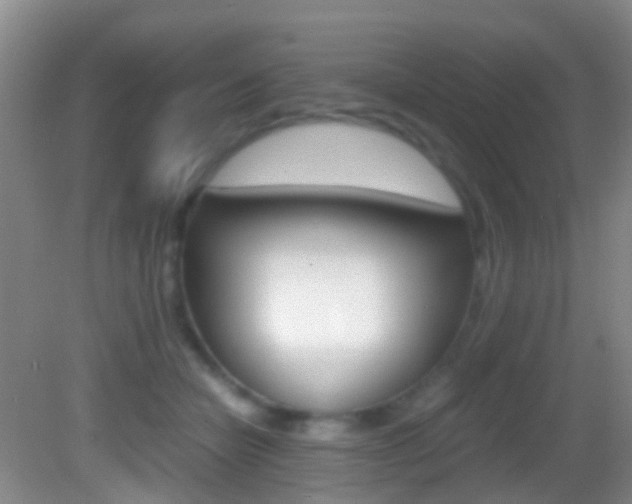 X0000083060462200702021040