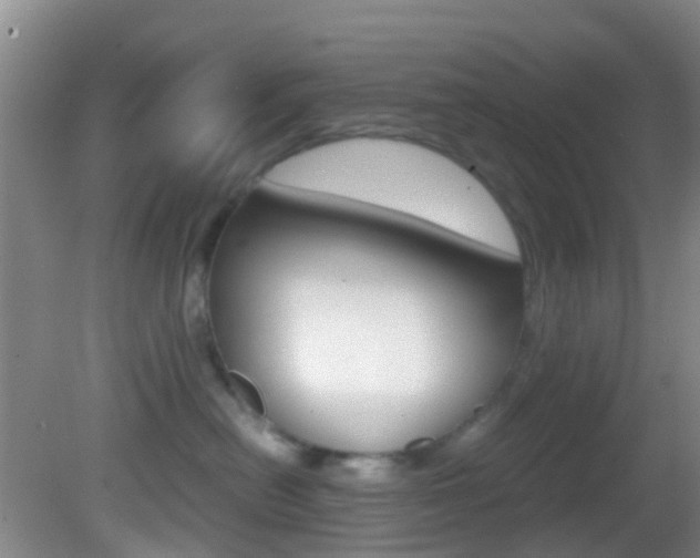 X0000083060478200702021041