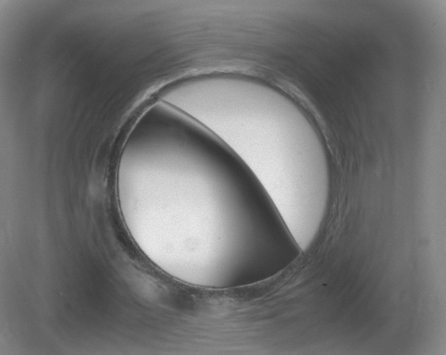 X0000083060483200702021040