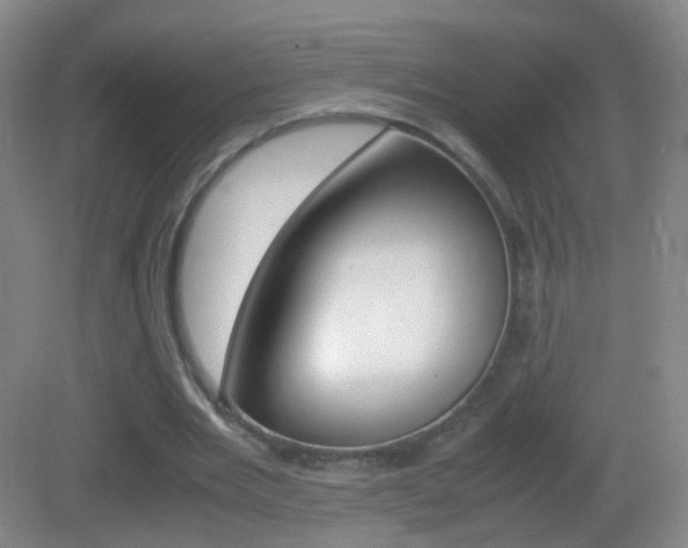 X0000083060485200702021040