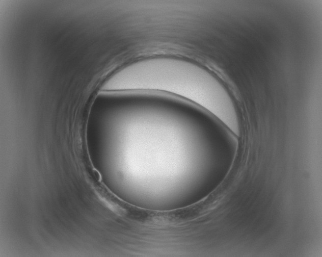X0000083060489200702021040