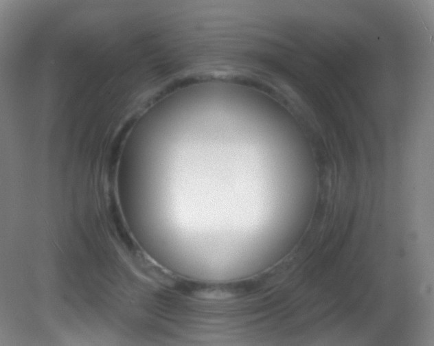 X0000083060500200702021039