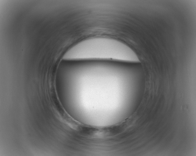 X0000083060504200702021039