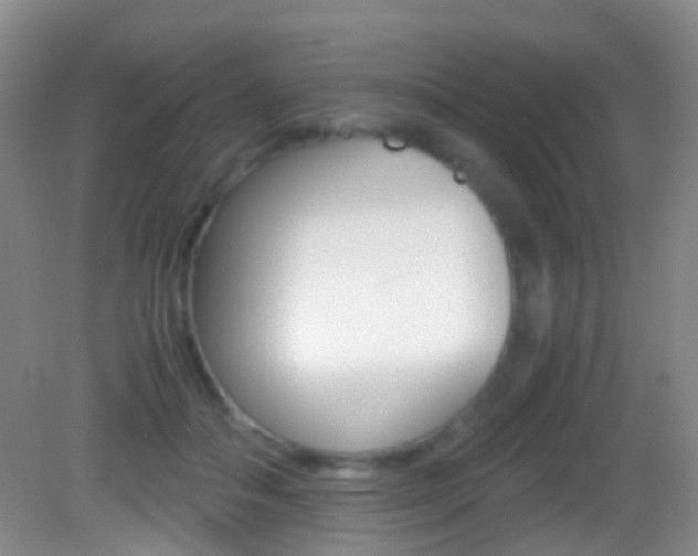 X0000083060506200702021039