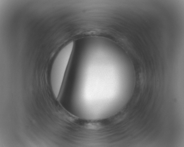 X0000083060508200702021039