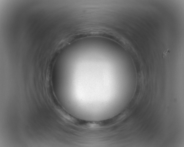 X0000083060509200702021039