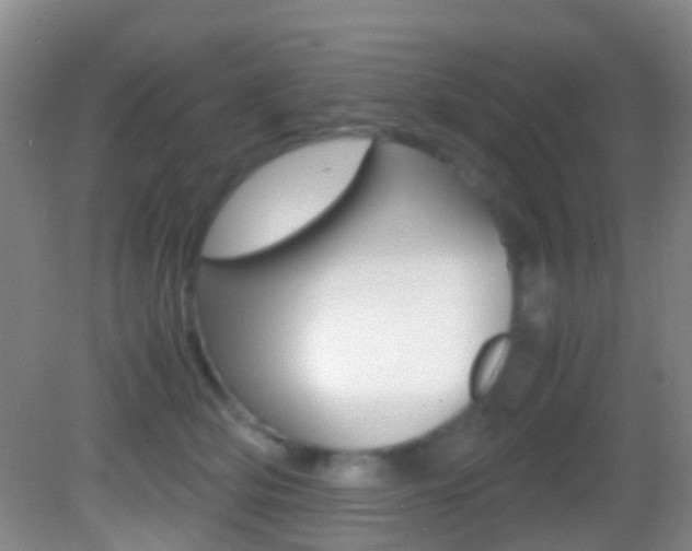 X0000083060514200702021039