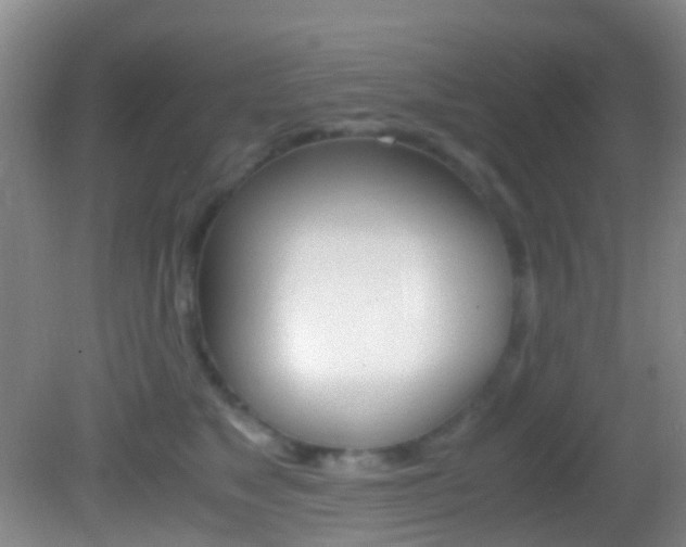 X0000083060517200702021039
