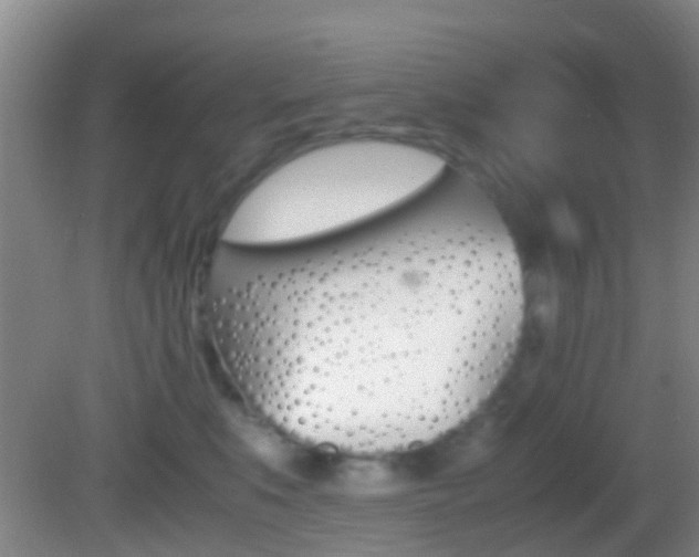 X0000083060519200702021039