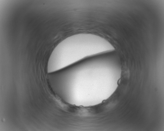 X0000083060523200702021039