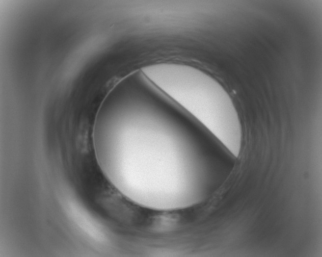 X0000083060525200702021039
