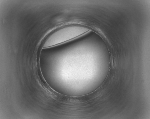 X0000083060531200702021038