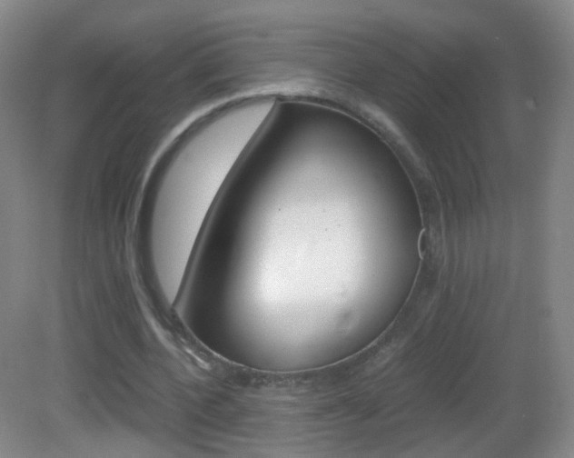 X0000083060532200702021038