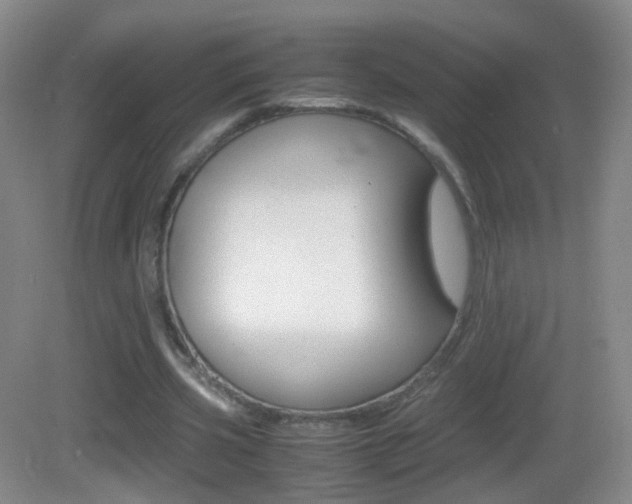 X0000083060533200702021038