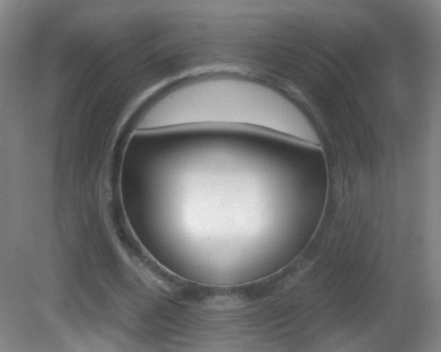 X0000083060536200702021038