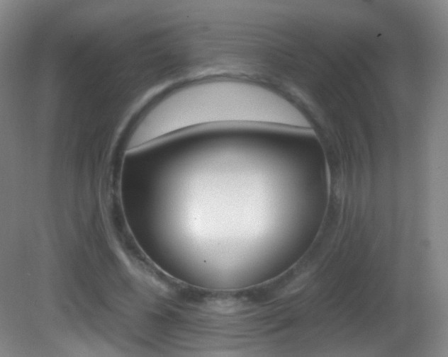 X0000083060540200702021038