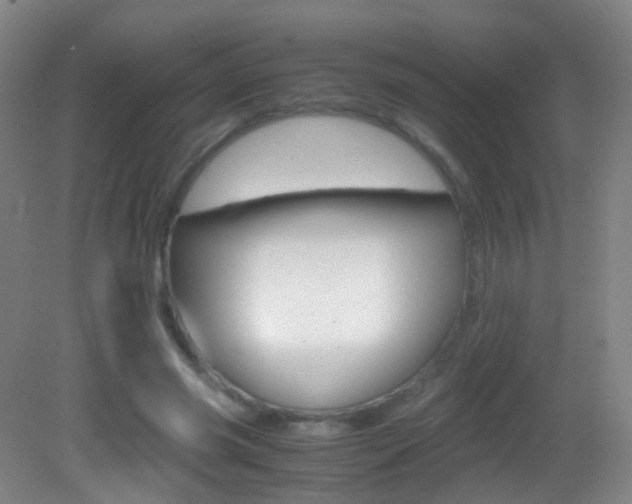 X0000083060541200702021038