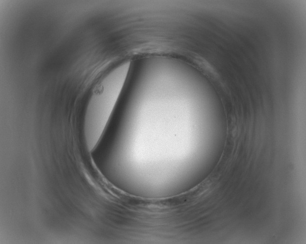 X0000083060542200702021038