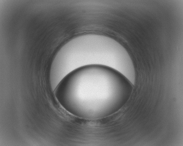 X0000083060546200702021038