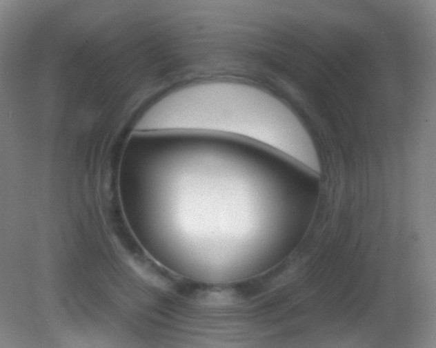 X0000083060548200702021038
