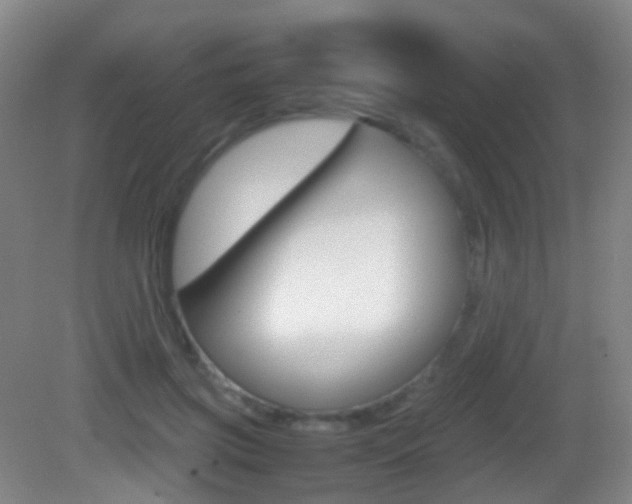 X0000083060549200702021038