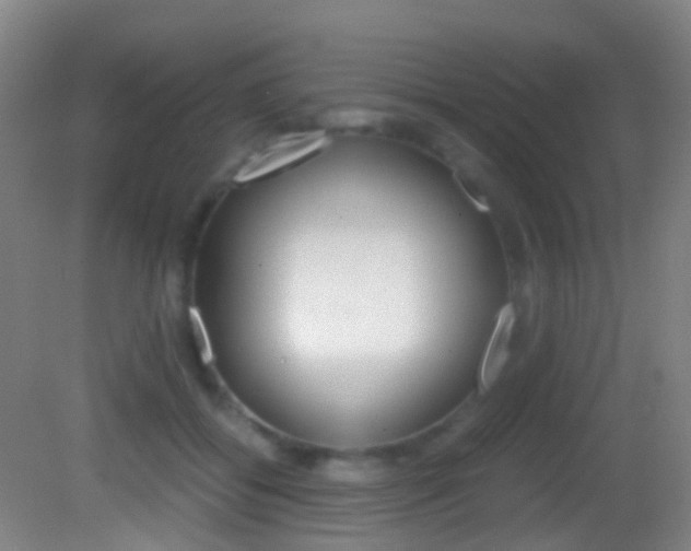 X0000083060556200702021039