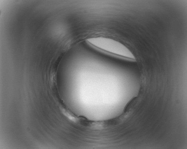 X0000083060574200702021039