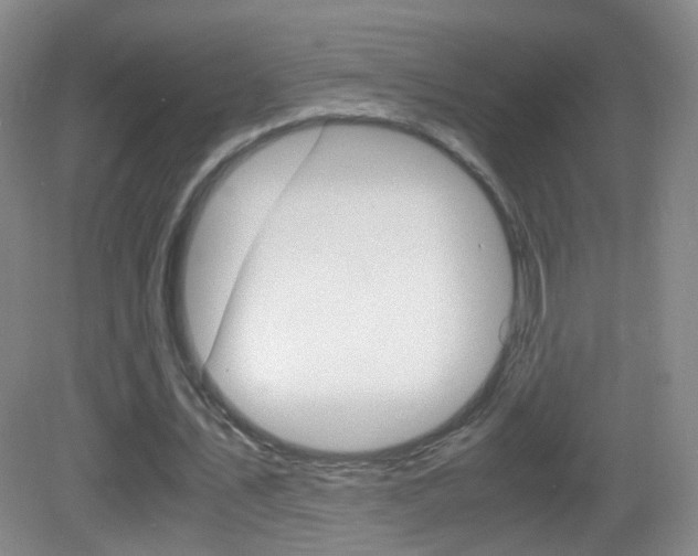 X0000083060579200702021038