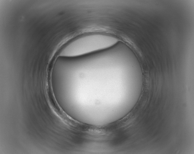 X0000083060582200702021038