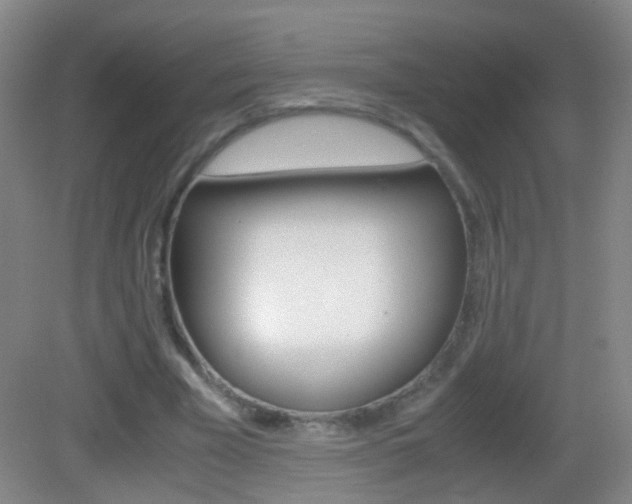 X0000083060585200702021038