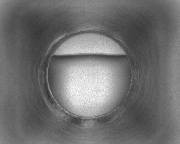 X0000083060587200702021038