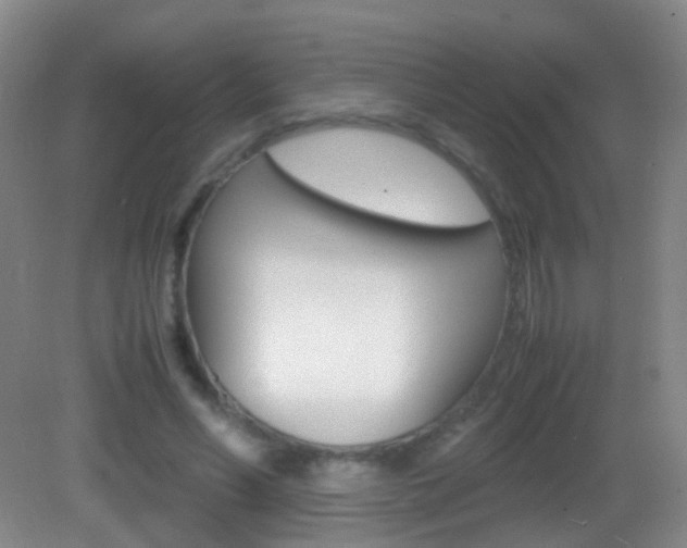 X0000083060590200702021038